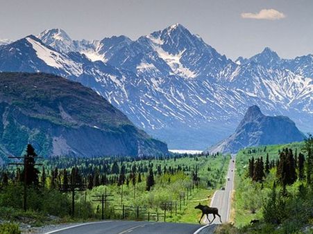 ఆసక్తికరం: భర్త శవంతో టూర్, రోజుల కొద్దీ ప్రయాణం