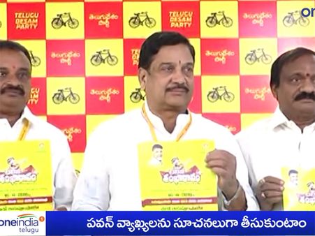 పవన్ కల్యాణ్ వ్యాఖ్యలను సూచనలుగానే..: కళా వెంకట్రావు