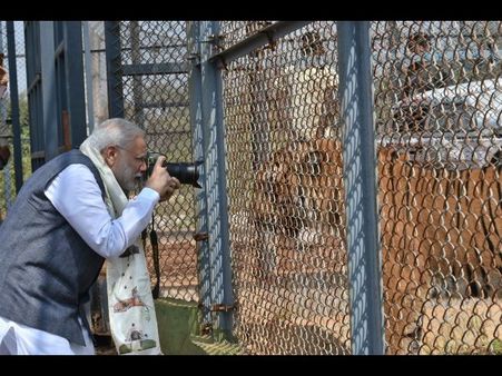 పులి దగ్గరికెళ్లి ఫొటోలు తీసిన మోడీ(వీడియో)