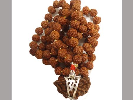 ఏకముఖ రుద్రాక్షమాలను ధరిస్తే..