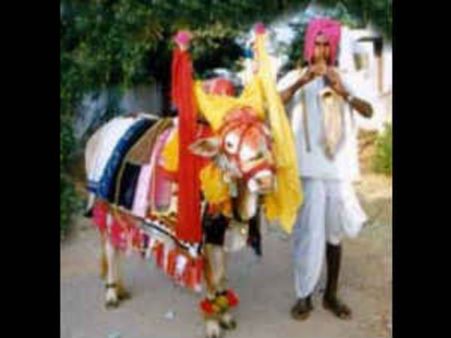 సంక్రాంతికి ముందు భోగీ: ఎందుకు, ఎలా చేస్తారు?