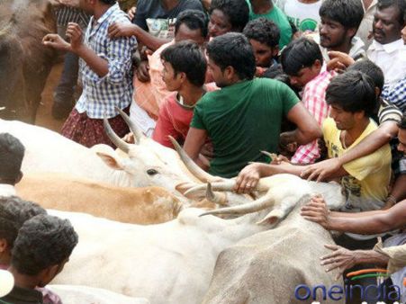 'జల్లికట్టు' రక్తసిక్తం.. లాఠీచార్జితో తిరగబడ్డ ప్రజలు.. అట్టుడికిపోతోంది..