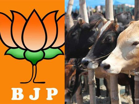 గోవధకు పాల్పడితే.. ఇక యావజ్జీవ జైలు శిక్షే: గుజరాత్ కొత్త చట్టం