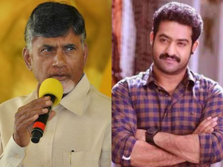 'బాబుతో జూ.ఎన్టీఆర్‌కు విభేదాల్లేవు, ఆయన రాజకీయాలకు దూరం'