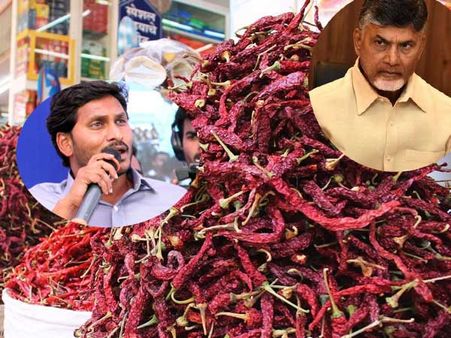 'కేంద్రం మిర్చి ధరను పెంచింది, జగన్ రైతు దీక్ష వల్ల ఏమాత్రం కాదు'