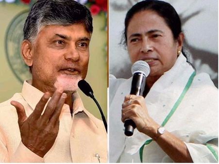 ఎన్నికల్లో గెలిచినట్లే, మమతా బెనర్జీతో మాట్లాడా: చంద్రబాబు,