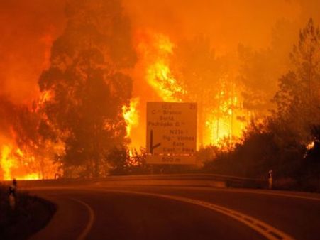 అడవుల్లో మంటలు: 57 మంది మృతి, కార్లలోనే 30 మంది..