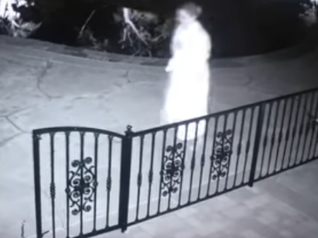 తాడు అనుకుని పామును పట్టేసింది: ఏమైందంటే(వీడియో)