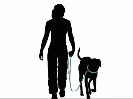 ఆత్మహత్యచేసుకొందామనుకొంటే బతికింది, పాముకాటు నుండి రక్షించిన కుక్క