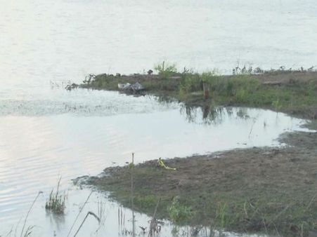 అమెరికాలో విమాన ప్రమాదం.. మచిలీపట్నం డాక్టర్ దంపతుల దుర్మరణం