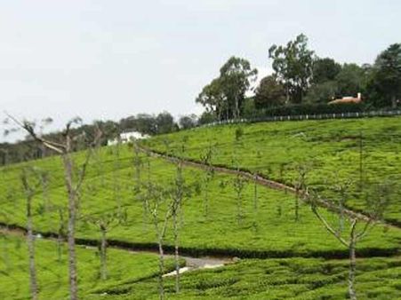 షాక్: కొడనాడు ఏస్టేట్ అకౌంటెంట్ దినేష్ ఆత్మహత్య