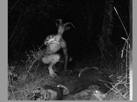 జిన్నారం అడవుల్లో ఏలియన్స్: దాని వెనక కథ ఇదీ....