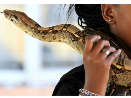 మహిళ ముఖాన్ని చుట్టుకున్న పాము: హెల్ప్ ప్లీజ్ అంటూ ఎమర్జెన్సీ నంబర్‌కి కాల్