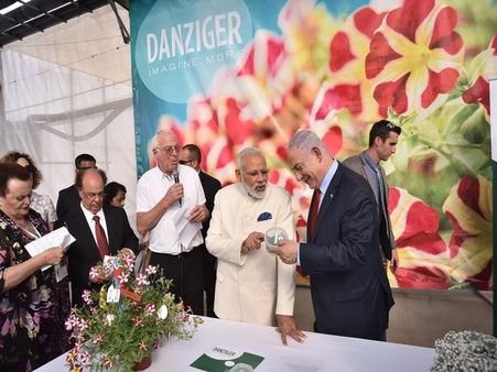 ఇజ్రాయెల్‌లో అరుదైన గౌరవం, ఓ పువ్వుకు 'మోడీ' పేరు, ఇదే ఆ ఫ్లవర్...