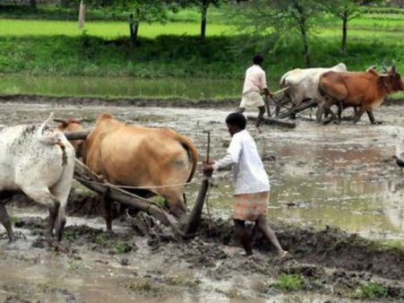 అమ్మతోడు: పట్టిసీమపై చంద్రబాబువి కథలే, తగ్గిన పంటల సాగు