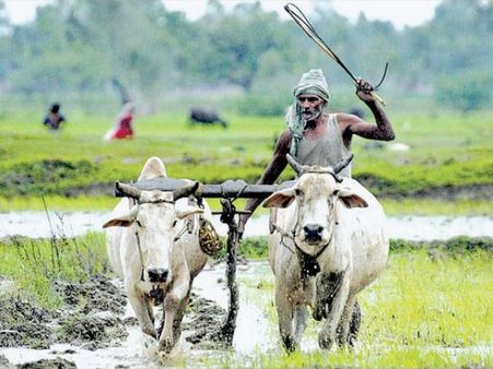 ఒక్క పంటకూ అందని రుణం: కరీంనగర్ జిల్లాలో పరిస్థితి విడ్డూరం