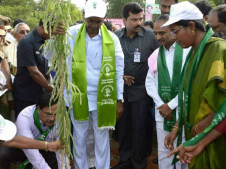 కుట్రా? నిర్లక్ష్యమా?: సీఎం కేసీఆర్ నాటిన మొక్క ఎండిపోయింది!