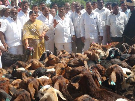 బేజారవుతున్న గులాబీయులు: కక్కలేక మింగలేక కారు కే'డర్‌'