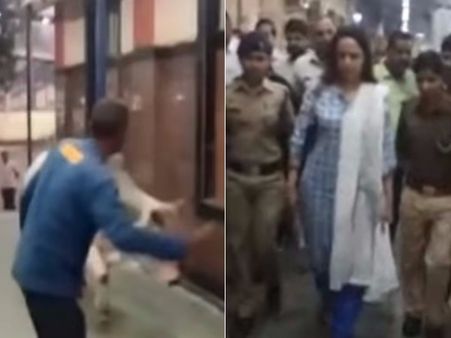 హేమామాలినివైపు దూసుకొచ్చిన ఎద్దు: చుట్టూ నిల్చుని..(వీడియో)