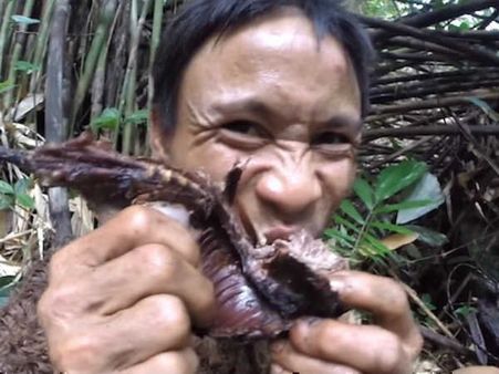 40 ఏళ్ళుగా ఎలుకలే ఆహరం: తండ్రితో పాటు అడవికి, చెట్టుపైనే కాపురం, వియత్నాం టార్జాన్