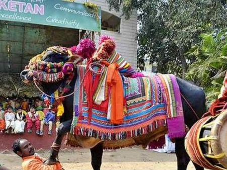 గంగిరెద్దులు ఆడిస్తే జైలుకే..: ధర్నాకు దిగిన కమ్యూనిటీ
