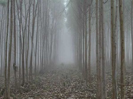 లంబసింగిలో జీరో డిగ్రీల టెంపరేచర్...నిజంకాదా?