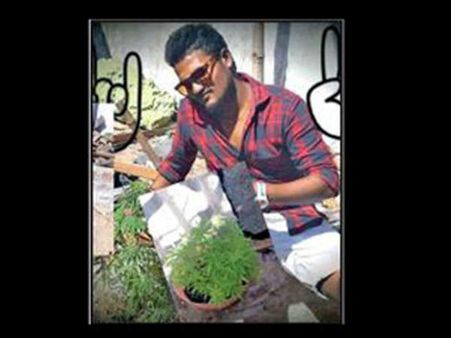 షాకింగ్: మొక్కతో సెల్ఫీ దిగాడు.. జైలుపాలయ్యాడు, అసలేం జరిగిందంటే...