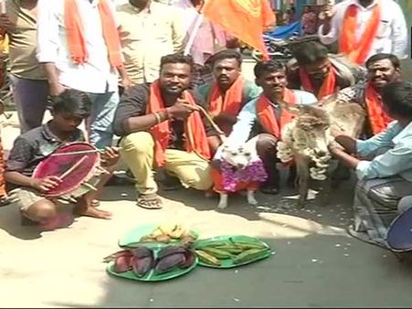 వాలెంటైన్స్‌డే వేడుకలు: గాడిద, కుక్కకు పెళ్ళి చేసి నిరసన