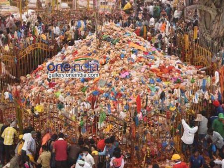 మేడారం జాతరకు నేడు ఛత్తీస్‌ఘడ్ సీఎం రమణ్ సింగ్