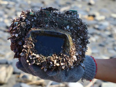 ఇది నిజంగా వండర్..: జపాన్‌లో పోగొట్టుకుంటే.. తైవాన్‌లో దొరికింది..