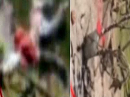 చిత్తూరు జిల్లాలో తలలేని చిన్నారి మృతదేహం కలకలం...నరబలి ఇచ్చారా?