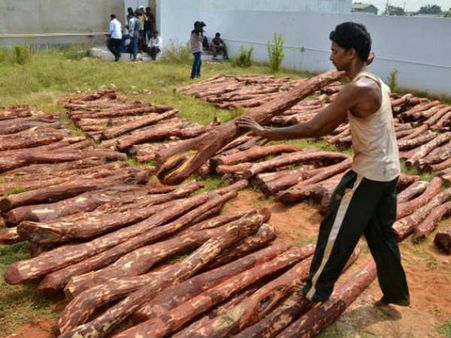 ఎర్రచందనం స్మగ్లింగ్ లో నయా ట్రెండ్:పేదరికమే పెట్టుబడి...ఉపాధి పేరిట మోసం!