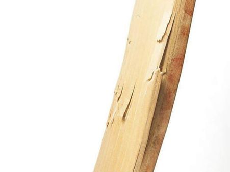 కొత్త క్రికెట్ బ్యాట్ విరిగి...కొట్లాటకు కారణమైంది