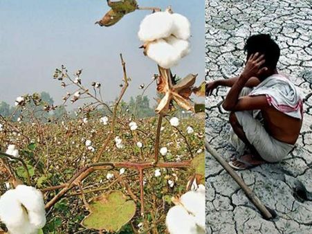 'విత్తనం' వాళ్లను మింగేసింది: ఈ విధ్వంసానికి బాధ్యులెవరు?..