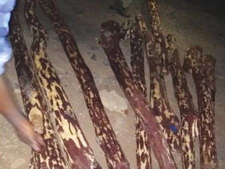 స్మార్ట్ స్మగ్లర్స్: పార్థీ గ్యాంగ్‌ ముసుగులో ఎర్రచందనం అక్రమ రవాణా