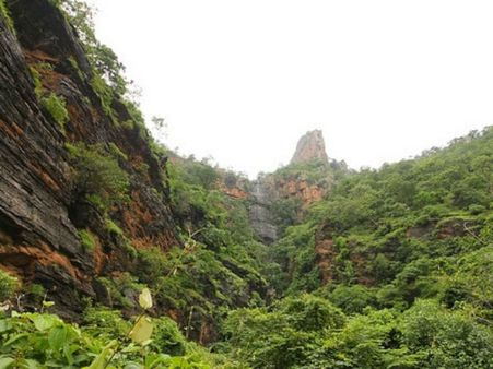 ఎపిలో ఎర్రచందనం, శ్రీ గంధం ఎంత ఉంది?...లెక్కతీస్తున్న కేంద్రం;ఎందుకంటే?