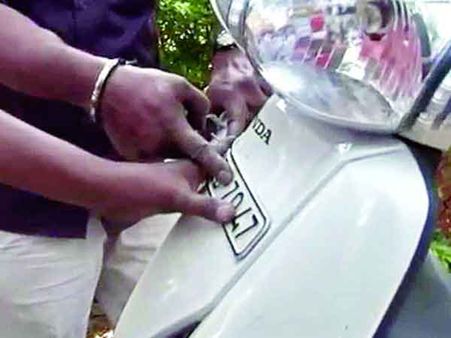 నూతన వాహనాల్లో టిఆర్ నంబర్లతో తెగతిరిగేస్తున్నారా?...ఇది తెలుసుకోండి!