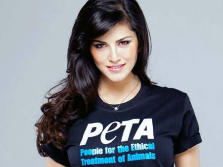 'పోర్న్ స్టార్‌గా పని చేసిందని.., సన్నీలియోన్‌ను అలా చూస్తే తప్ప మార్పురాదు!'