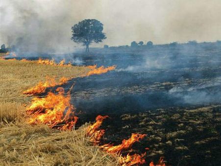 పంట కాల్చివేత: ఢిల్లీనే కాదు, ఉత్తరాదితోపాటు దక్షిణాదిపైనా కాలుష్య ప్రభావం, పద్ధతి మారకుంటే..