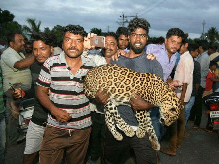 చిరుతను ఎత్తుకుని సెల్ఫీలు తీసుకోవడానికి పోటీ, అటవి శాఖ సిబ్బంది, ఫోటోలు వైరల్!