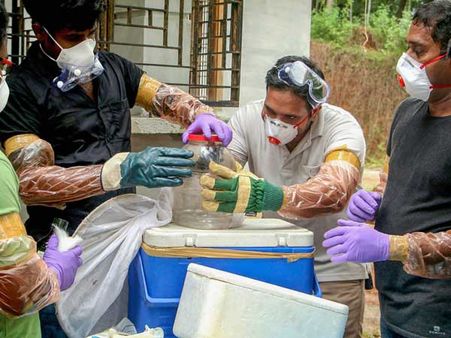 నిఫా వైరస్‌ మరణాలకు ఆ గబ్బిలాలే కారణం... తేల్చేసిన పరిశోధకులు