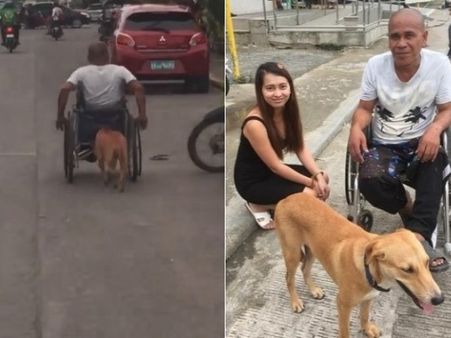 సూపర్ డాగ్: తన యజమానిని వీల్‌ఛైర్‌లో ఊరుమొత్తం తిప్పేస్తోంది