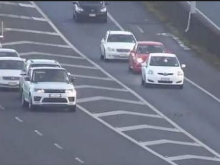ఇది మిమ్మల్ని అబ్బురపరుస్తుంది: బాతుల కోసం 3లైన్లలో నిలిచిన ట్రాఫిక్ (వీడియో)