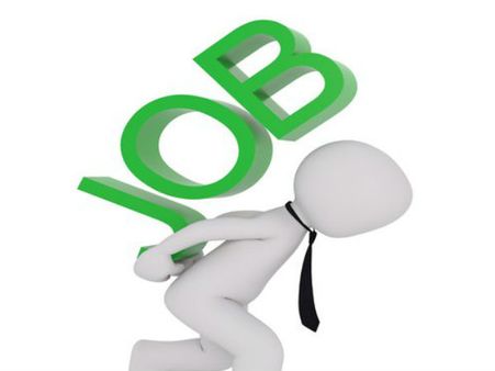 220 ఎగ్జామినర్ పోస్టుల భర్తీకి నోటిఫికేషన్ విడుదల చేసిన డీఐపీపీ