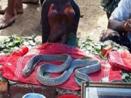 భక్తుల పూజలందుకుంటున్న పామును...ఎస్ఐ విషం పెట్టించి చంపాడు:దుర్గాడ ప్రజల ఆరోపణ;ఎస్ ఐపై చర్యలు