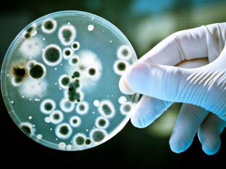 యాంటీబయోటిక్స్‌తో డేంజర్: హాస్పిటల్స్‌లో విజృంభిస్తున్న కొత్త రకం బ్యాక్టీరియా
