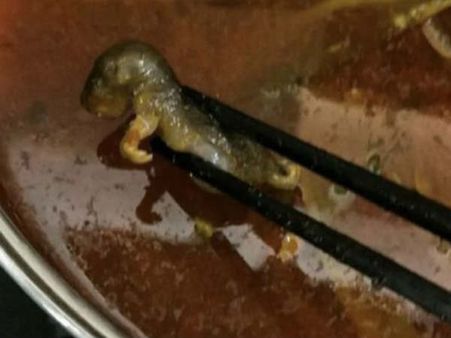 గర్భవతి తాగిన సూపులో ఎలుక ప్రత్యక్షం...అబార్షన్ కోసం డబ్బులు ఆఫర్ చేసిన రెస్టారెంట్