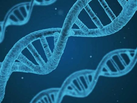 పిల్లల చదువులో విజయానికి కారణం జన్యుపరమైన కారణాలే: పరిశోధకులు