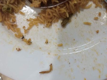 హైదరాబాద్ ఐకియా వెజ్ బిర్యానీలో బల్లి, క్షమాపణలు చెప్పిన మేనేజ్‌మెంట్