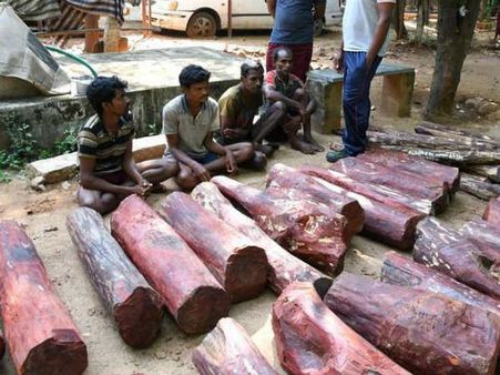 ఎర్రచందనం స్మగ్లర్లు అడవిలోకి ఎంట్రీ ఇలా:భక్తుల్లా తిరుమల కొండ పైకి...అటు నుంచి అటే!